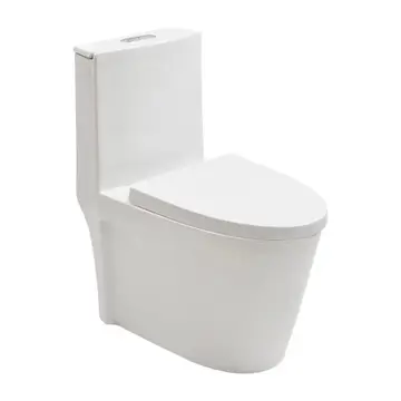 Vaso Sanitário Monobloco Painita Pingoo.casa Branco